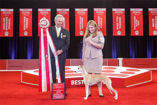 2021 AKC National Championship presented by Royal Canin