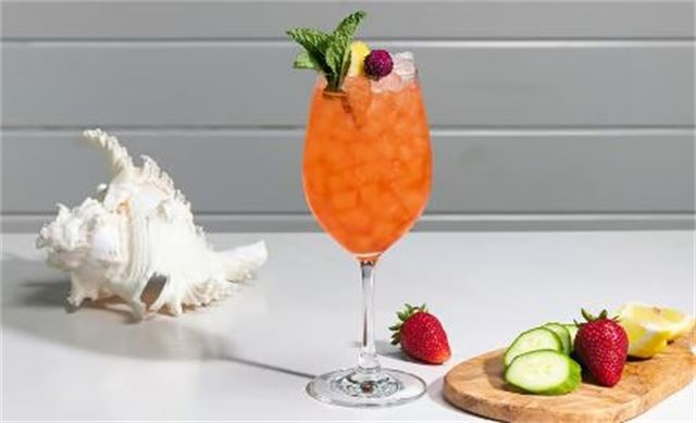 Dry January Mocktails