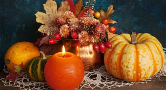 Thanksgiving at Rosen Plaza