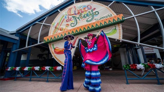 Cinco de Mayo at SeaWorld
