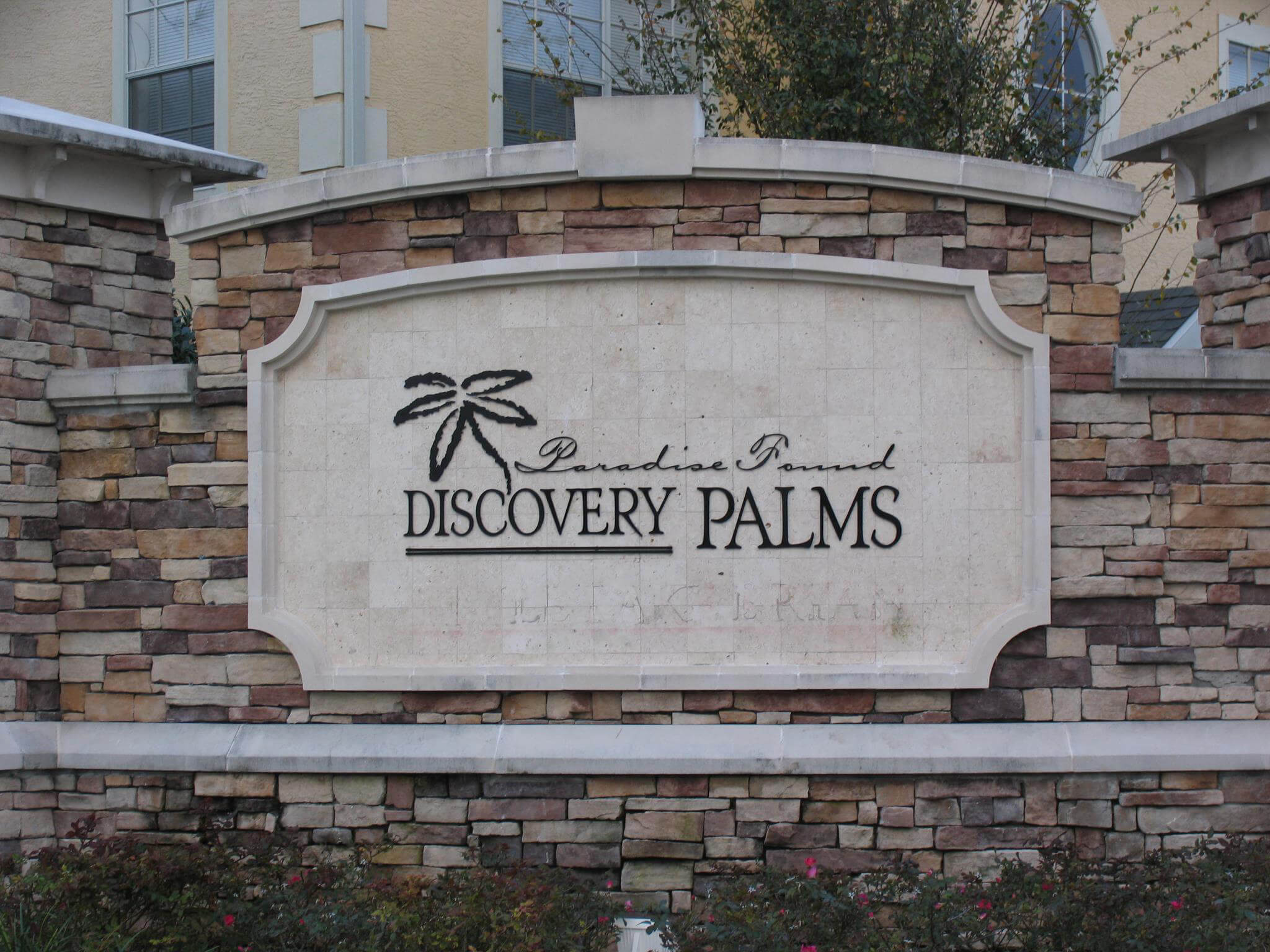 Discovery Palms