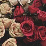 Valentine's Day on International Drive