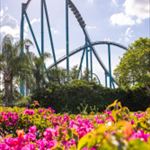 March Happenings on I-Drive