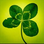 St. Patrick's Day on I-Drive