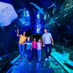 Family Fun on I-Drive