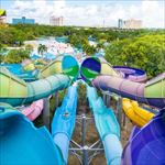 Summer Fun at I-Drive