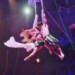 Catch a Dinner Show on I-Drive