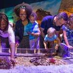 5 Family Fun Destinations on I-Drive