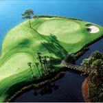 Tee Up on I-Drive