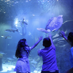 5 Exciting Educational Stops on I-Drive 