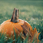 October Happenings