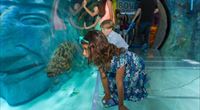 SEA LIFE Orlando Aquarium at ICON Park