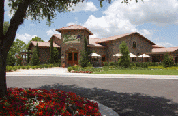 Orlando Dining Olive Garden International Drive Orlando