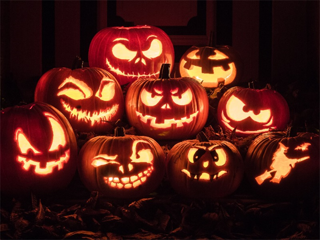 R Scarecrow's Haunted Trail & Market