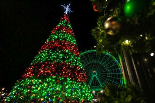 I-Drive District Holiday Tree