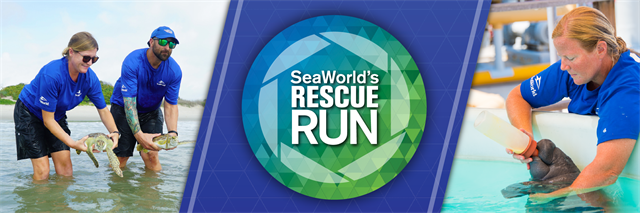 SeaWorld Orlando's Rescue Run