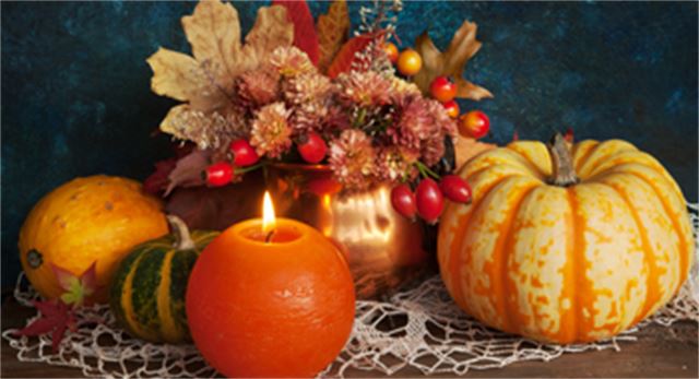 Thanksgiving at Rosen Plaza