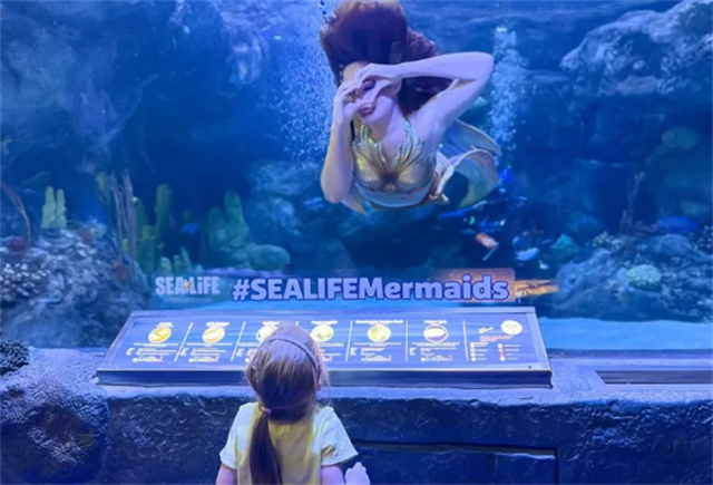 Meet a Mermaid
