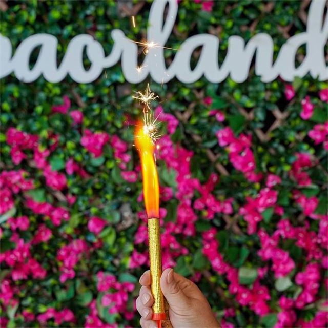 Taverna Opa New Year's Eve Party