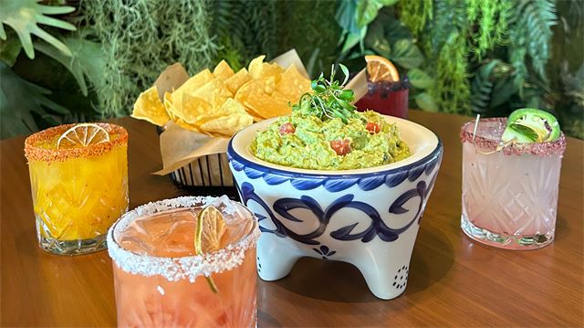 Thanksgiving at TodoVos